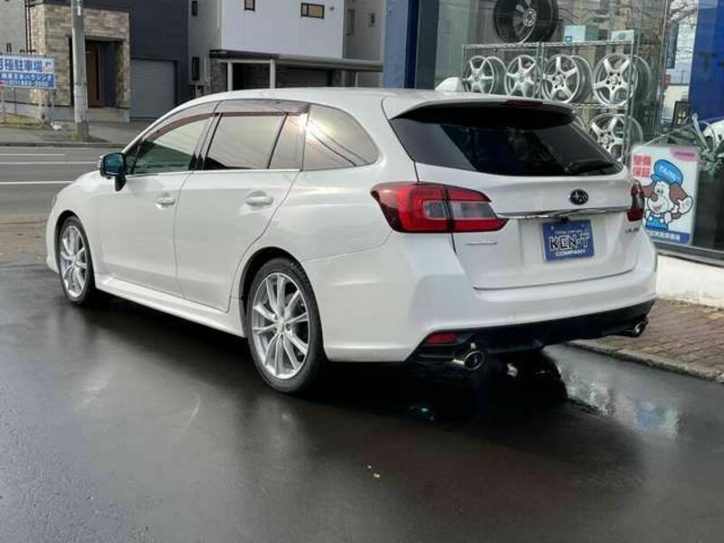 LEVORG