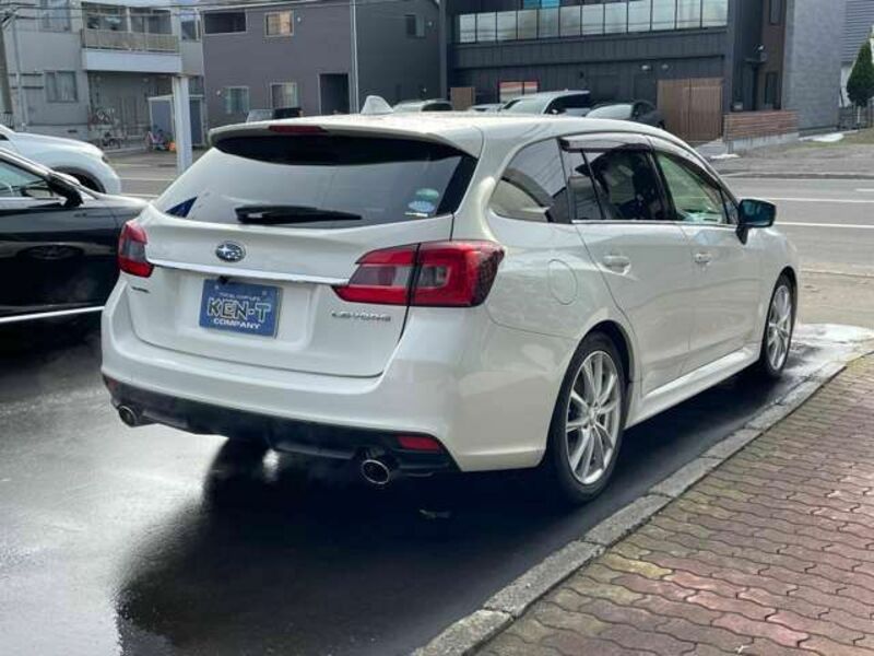 LEVORG