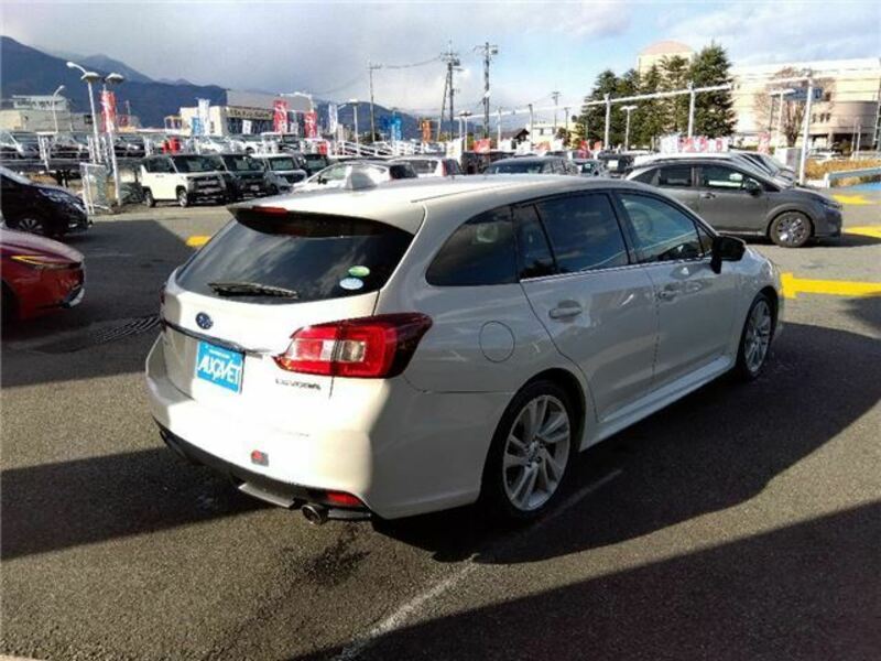 LEVORG