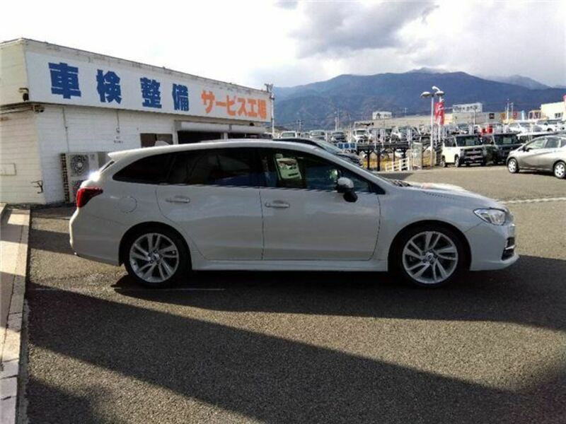 LEVORG