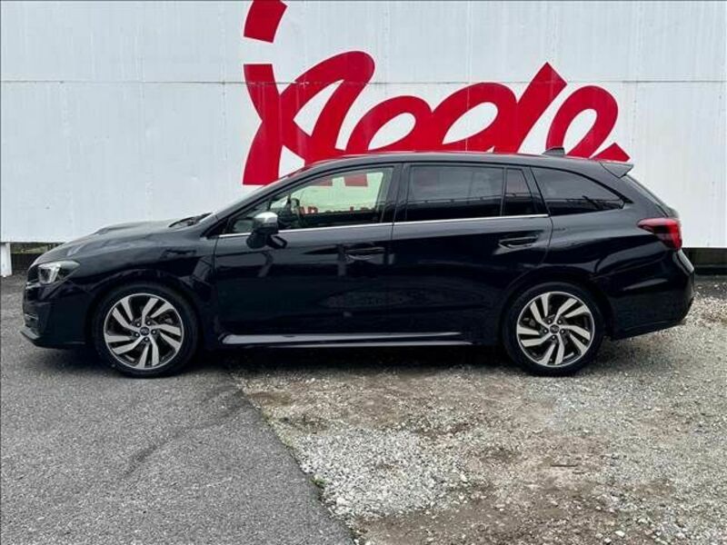 LEVORG