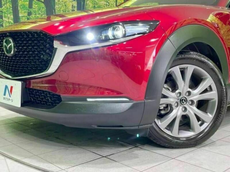 CX-30