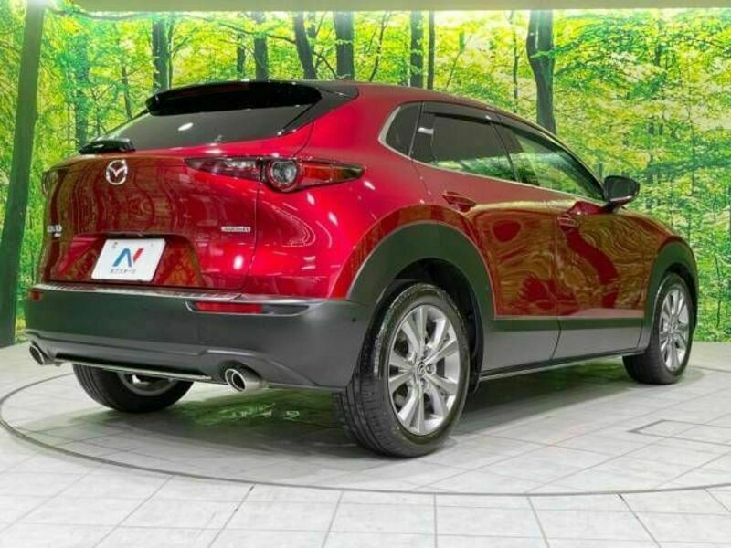 CX-30