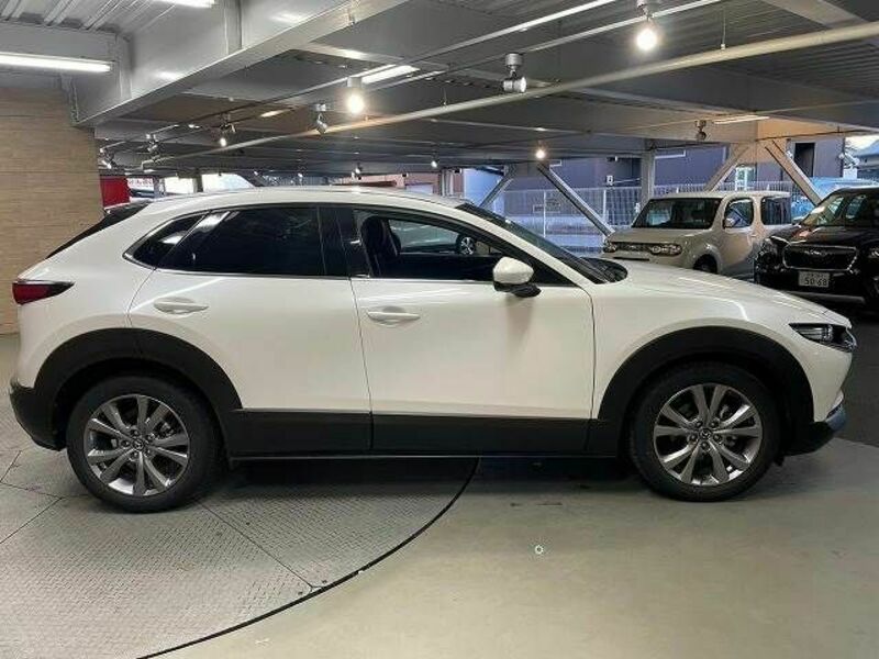 CX-30