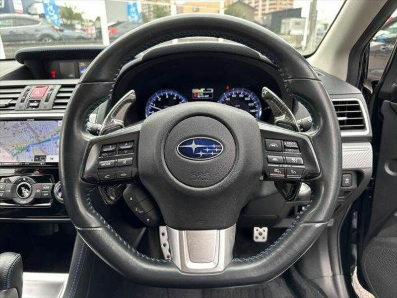 LEVORG