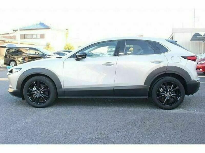 CX-30