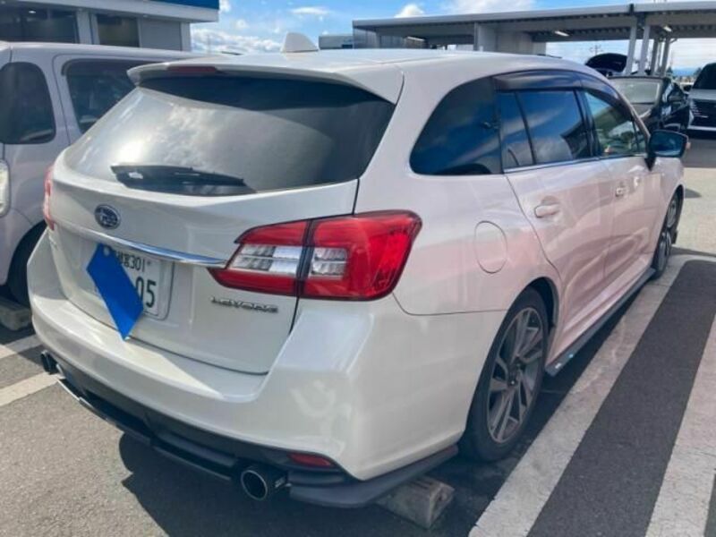 LEVORG