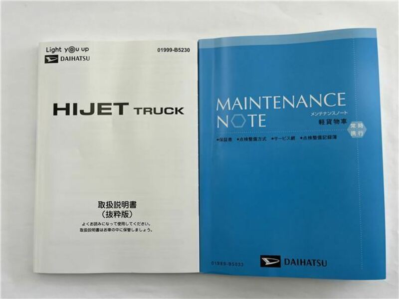 HIJET TRUCK