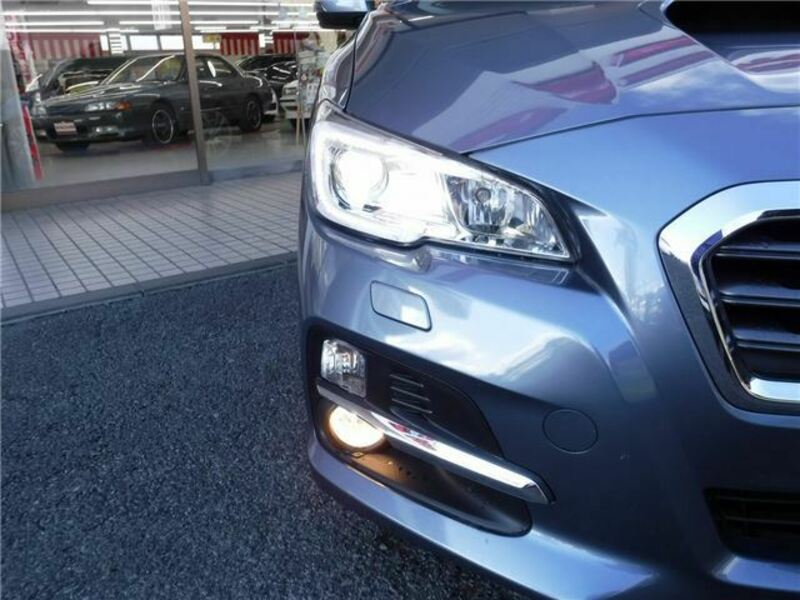 LEVORG