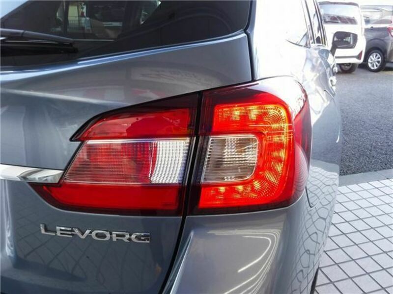 LEVORG