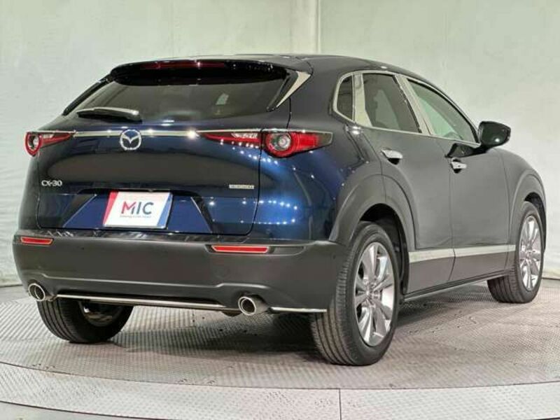 CX-30