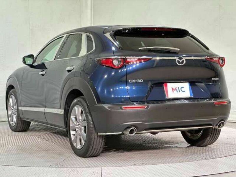 CX-30