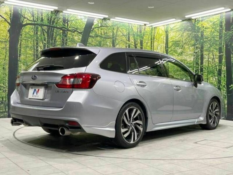 LEVORG