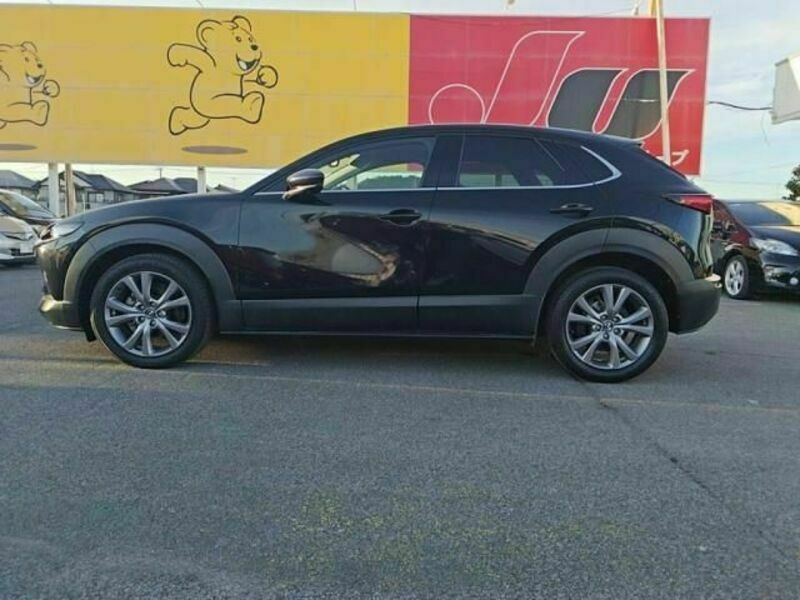 CX-30