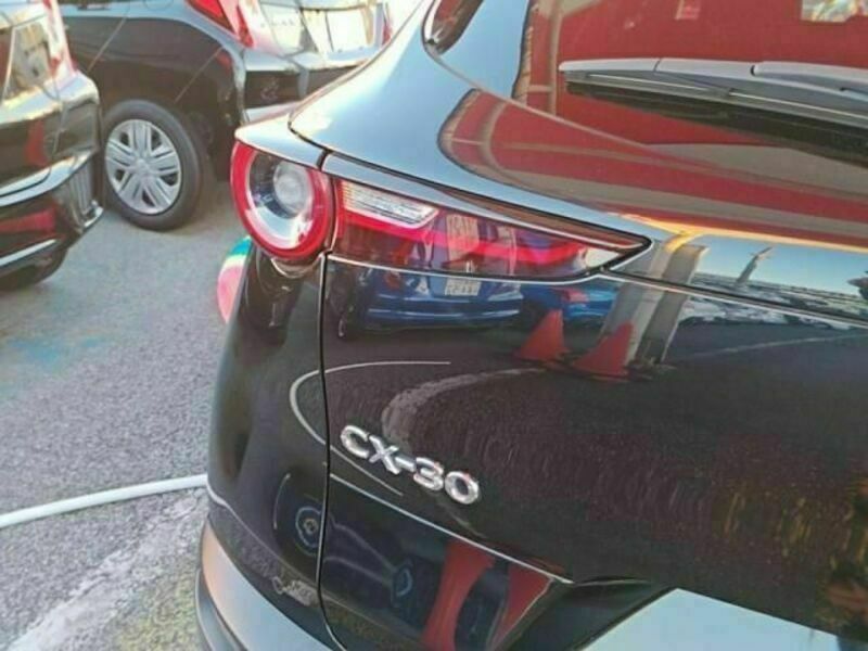 CX-30