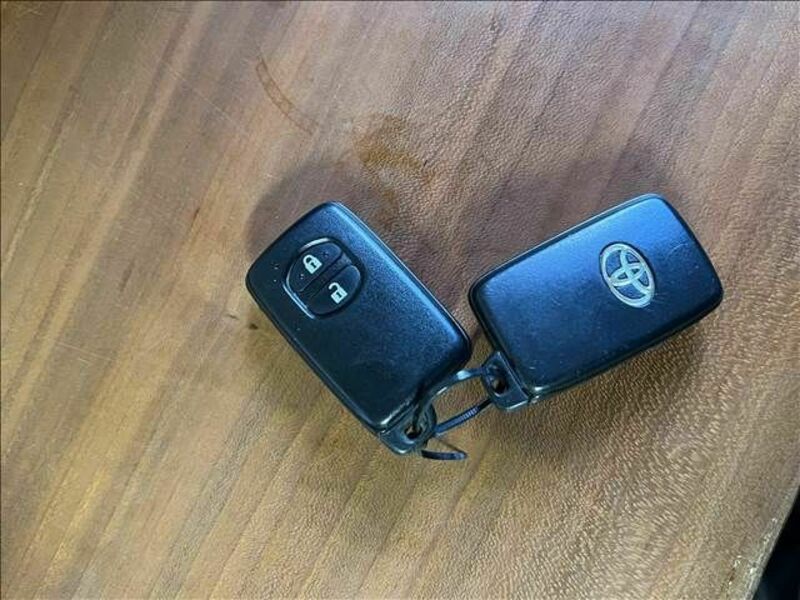 PRIUS-19