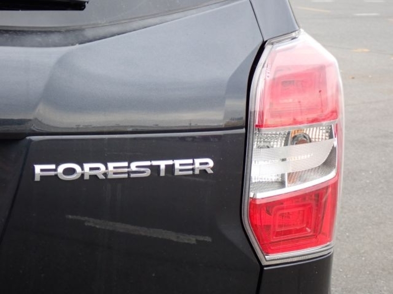 FORESTER