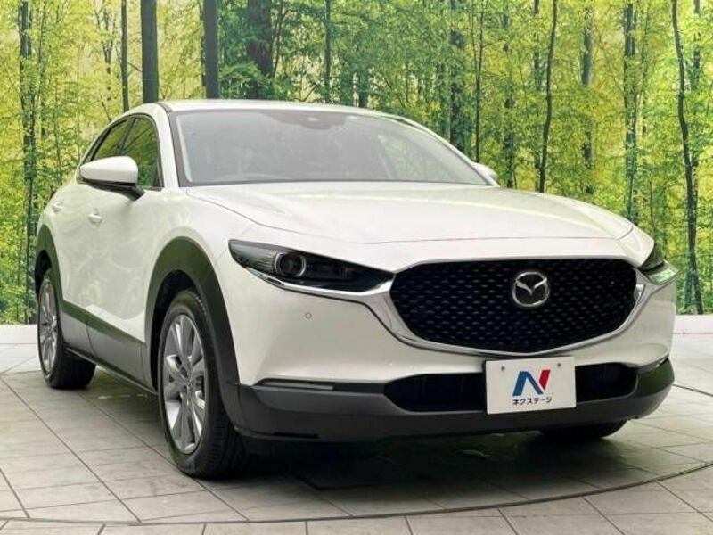 CX-30