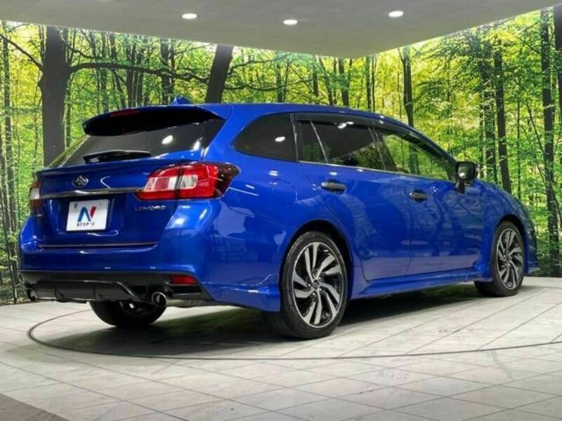 LEVORG