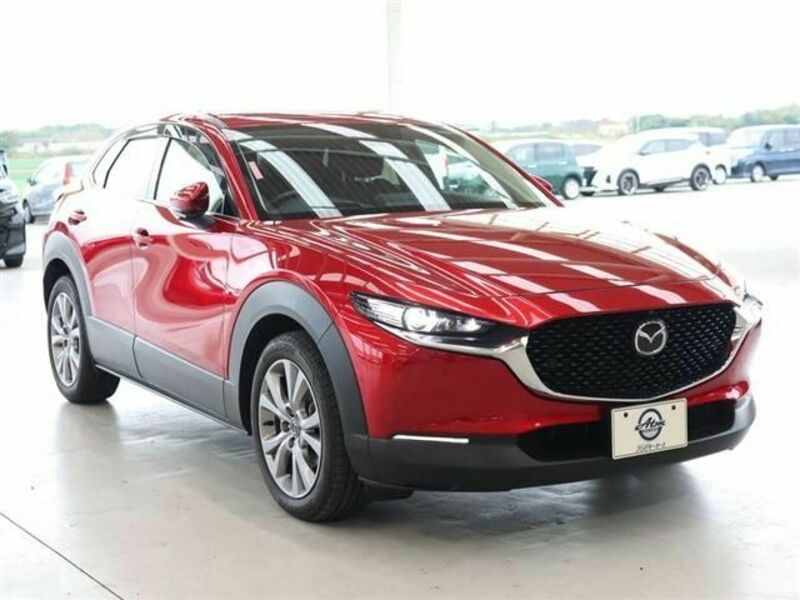 CX-30