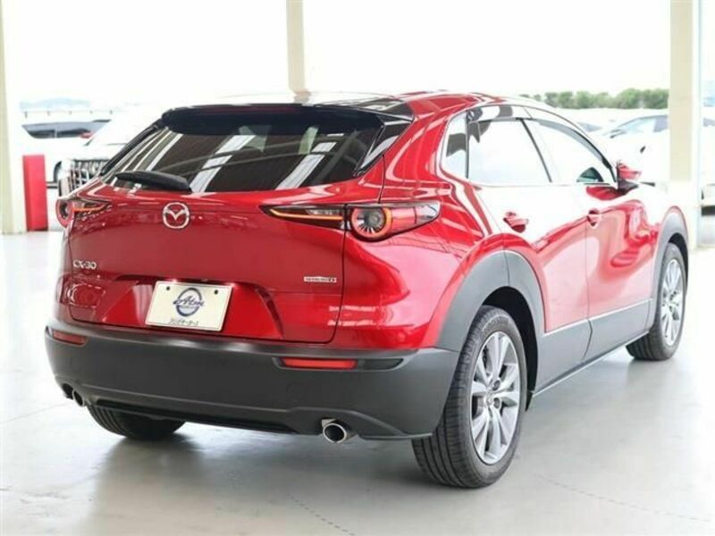 CX-30