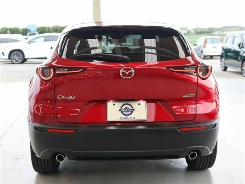 CX-30