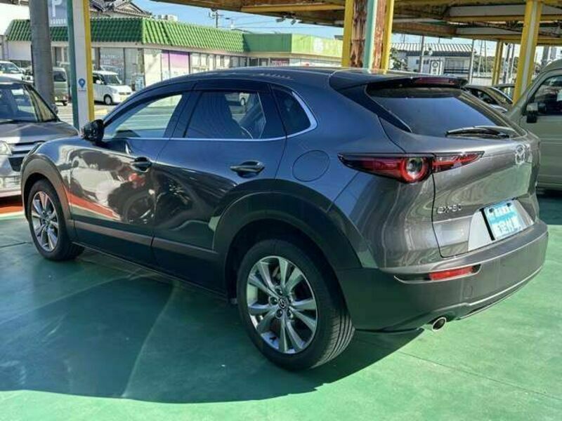 CX-30