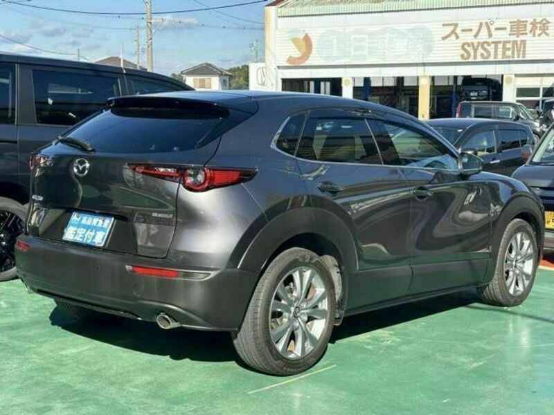 CX-30