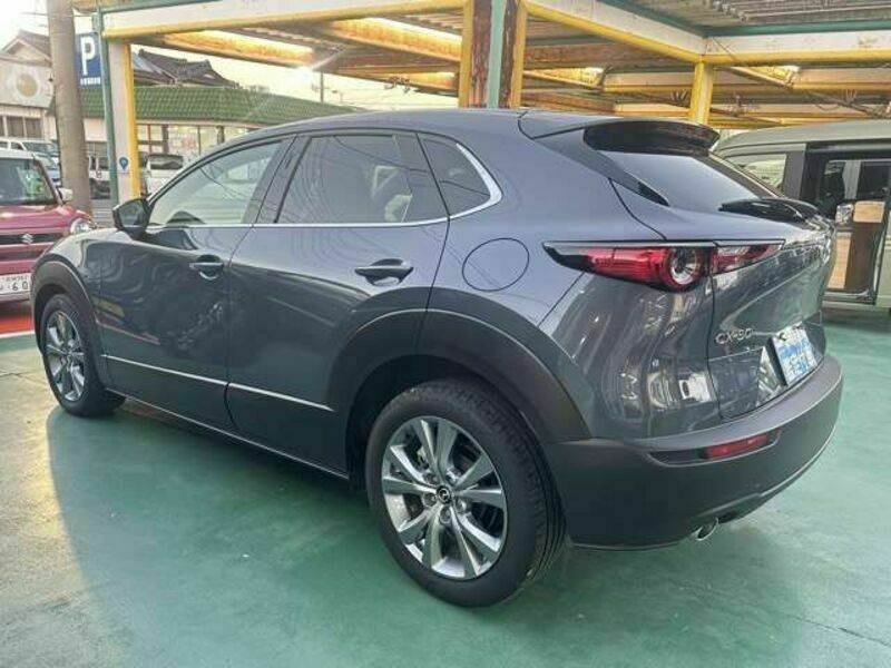 CX-30