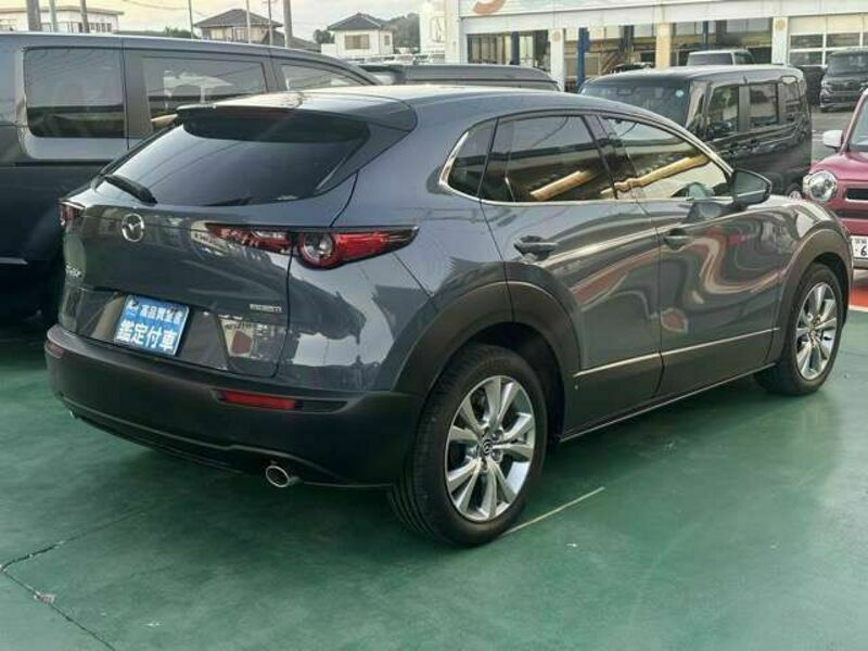 CX-30