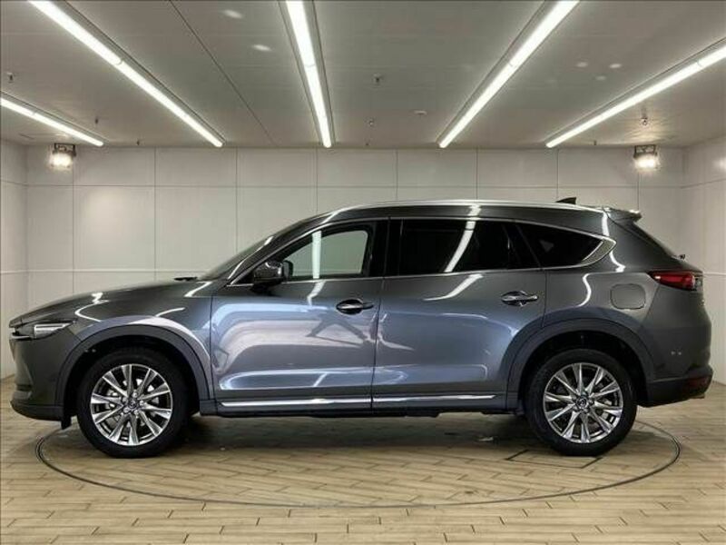 CX-8