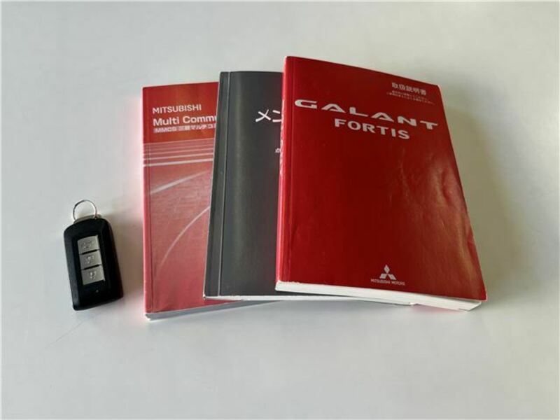 GALANT FORTIS