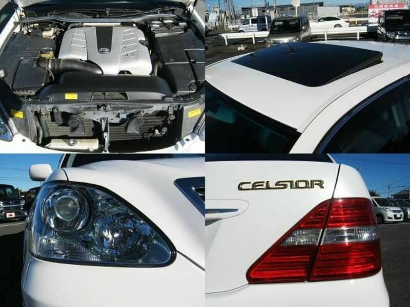 CELSIOR