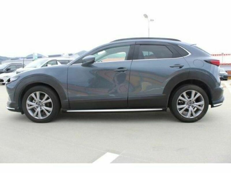 CX-30