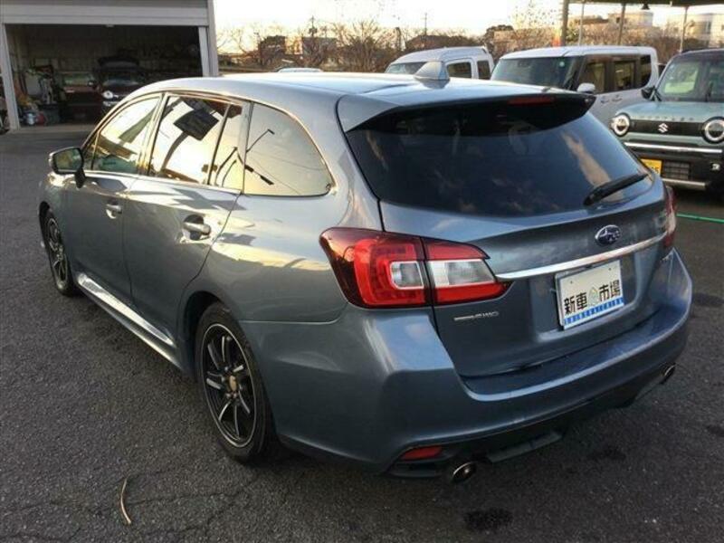 LEVORG