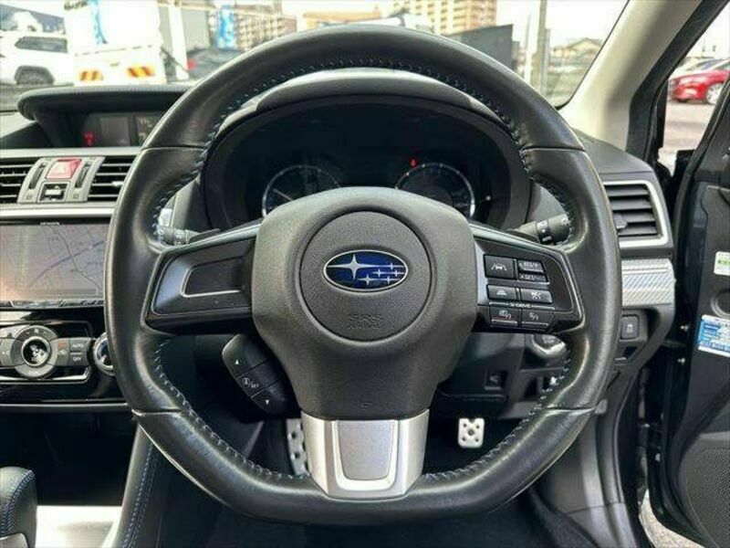 LEVORG