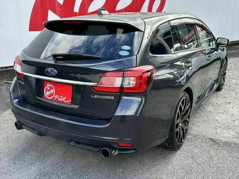 LEVORG