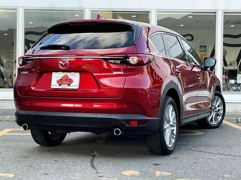 CX-8