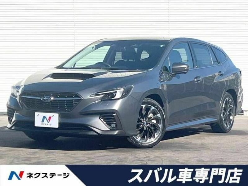 LEVORG-0