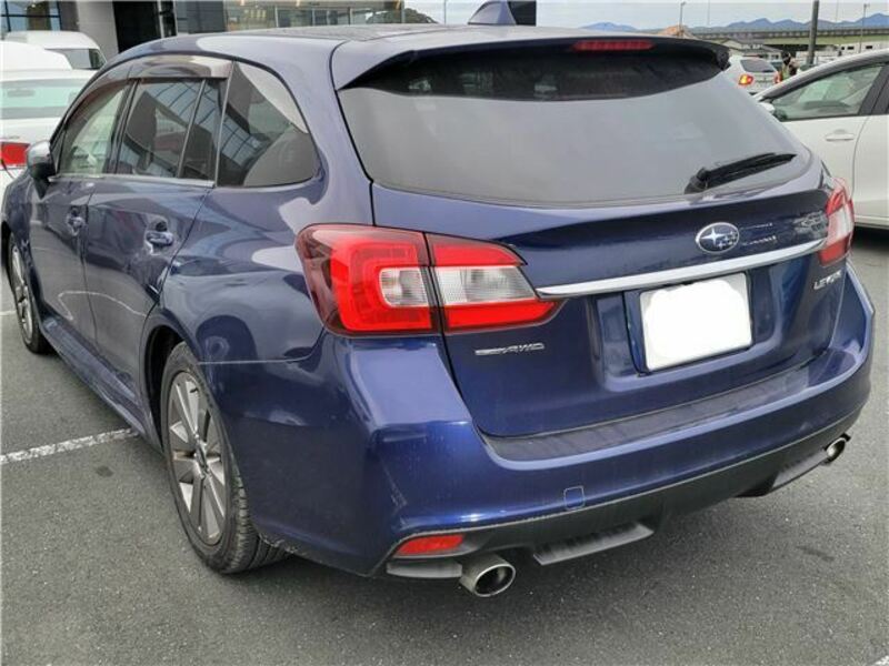 LEVORG