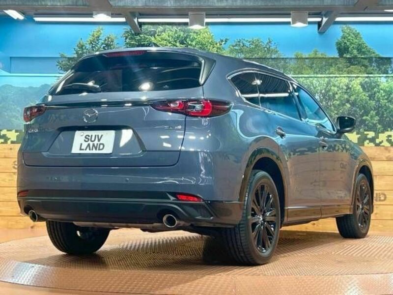 CX-8