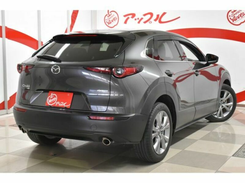 CX-30