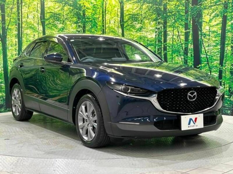 CX-30