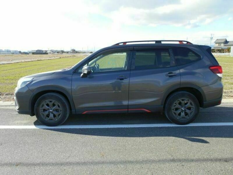 FORESTER