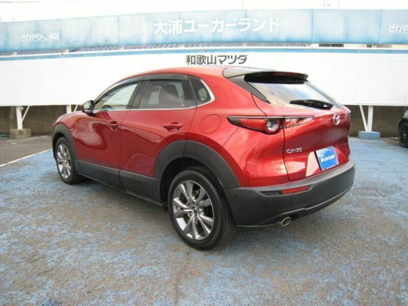 CX-30