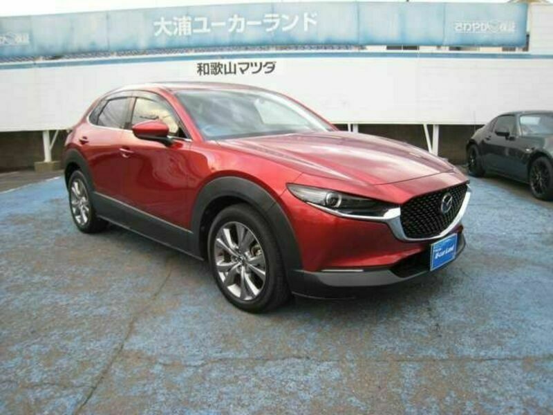 CX-30