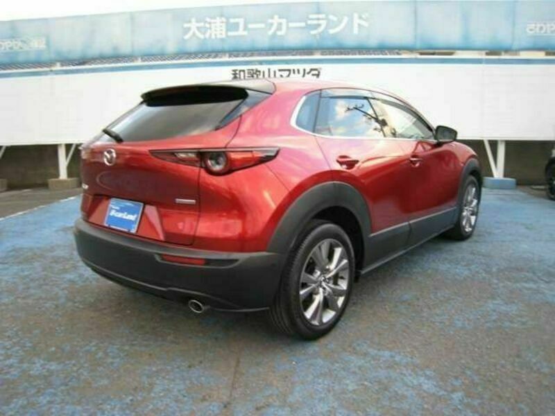 CX-30