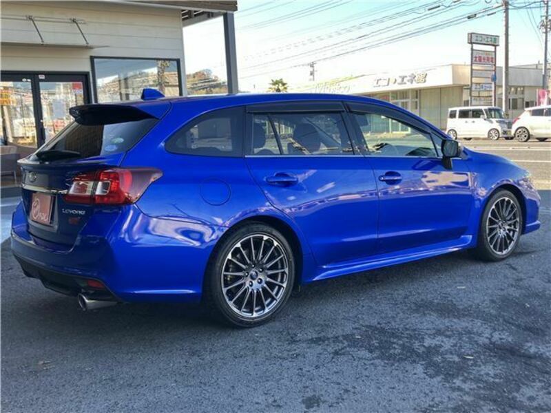 LEVORG