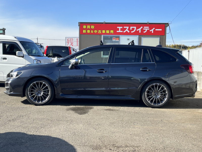 LEVORG