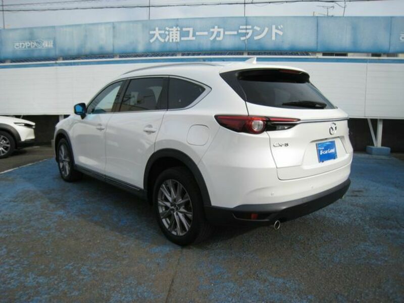 CX-8